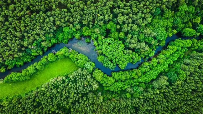 Ripresa aerea di un paesaggio forestale attraversato da un fiume, simbolo dell'impegno di KiK per la sostenibilità