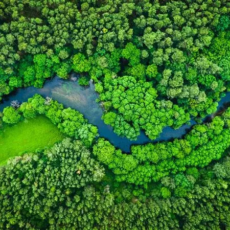 Ripresa aerea di un paesaggio forestale attraversato da un fiume, simbolo dell'impegno di KiK per la sostenibilità