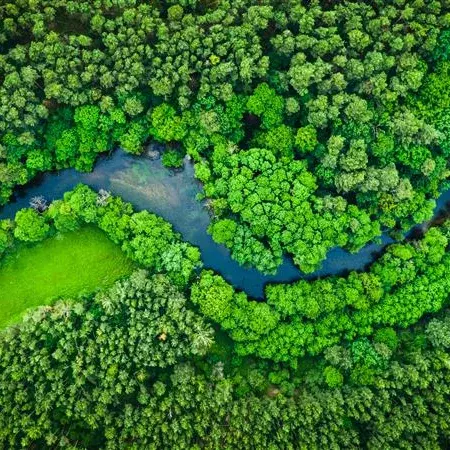 Vista aerea di un paesaggio boschivo attraversato da un fiume, a rappresentare l'impegno di KiK per la sostenibilità